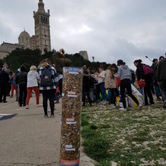 Ramassage de Mégots - Tube Gradué en Plexiglas pour Sensibilisation
