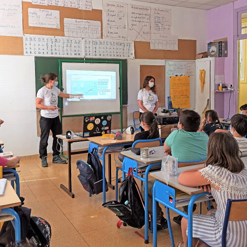 intervention-classe Éducation à l'environnement - Biodiversité - GreenMinded Sensibilisation Zéro-Déchet - Biodiversité - Actions éducatives - Éducation à l'environnement - Association GreenMinded