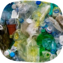 Association Zéro-Déchet & Biodiversité - Pollution Plastique - Education & sensibilisation à l'environnement - Actions éducatives - Protection de l'environnement