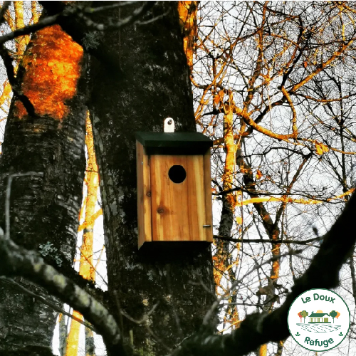 Nichoir à Oiseaux En Bois Noir Kingfisher BF017 - Environ 12x10x21 Cm - Pour Mésanges, Moineaux...