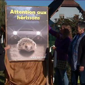 panneau routier hérissons sensibilisation - association greenminded - boutique