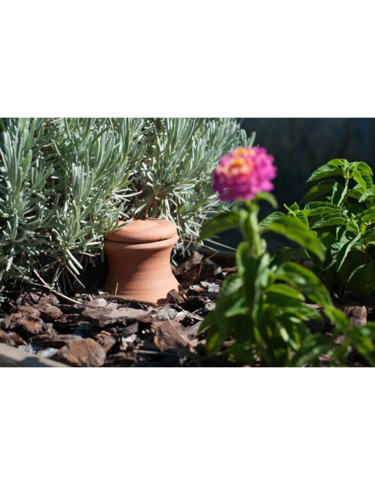 🌱 Oya à enterrer – 1,5 L | Fabrication française – Image 2