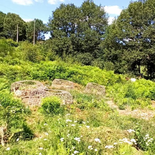 le doux refuge - refuge de biodiversité - greenminded