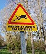 Panneau Réfléchissant - Traversée Amphibiens