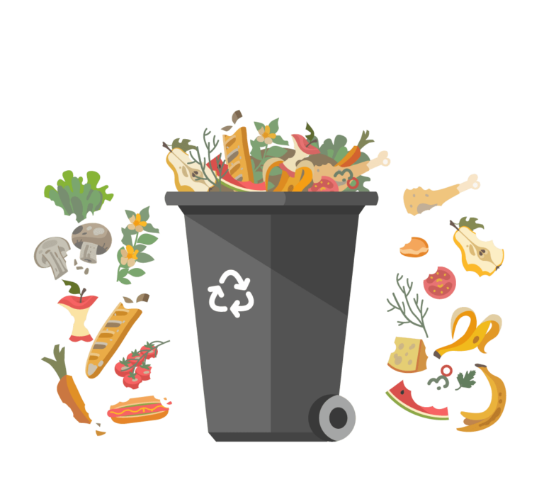 Collecte Bio-Déchets - Supermarché - Contrat 1 an