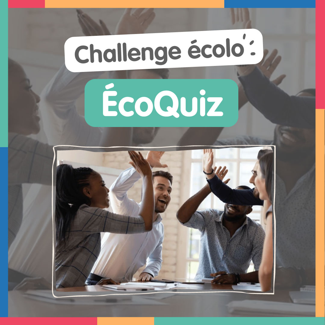 écoquiz-challenge-écolo-teambuilding