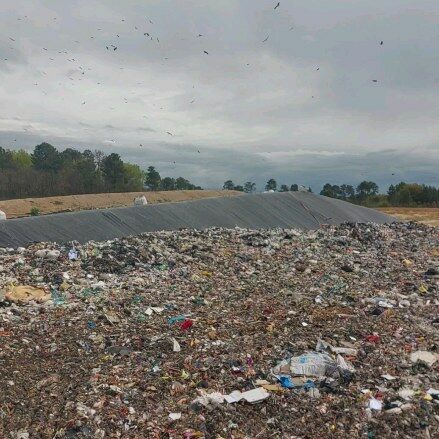 😢 80% des déchets ici auraient pu être valorisés... À la place, ils finissent entassés et compactés sur 30 hectares.

37% de ce que vous voyez aurait pu être composté et 43% aurait pu finir à la poubelle jaune.

🤢 À la place, on creuse chaque année un grand trou de 1hectare, qu'on remplit et qu'on referme.
Un beau cadeau empoisonné à la nature et aux générations futures.

#zerowaste #onestpret #leplastiquenonmerci #zerodechet #environnement #recyclage #cleanwalker #megot #greenminded #ecologie #tousacteurs #zerowaste  #rienneseperdtoutsetransforme #injusticeclimatique #jepeuxpasjaiclimat #grevepourleclimat #youth4climate #marchepourleclimat #onestpluschaudqueleclimat #savetheplanet #cendrier #tabac #pollution #onlacherien #greennudge #nudge #1dechetparjour